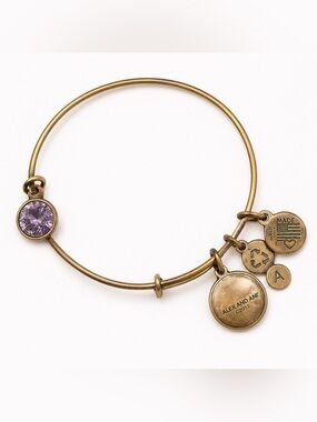 Alex and Ani Purple Crystal Expandable Charm Bangle Bracelet Gold Tone